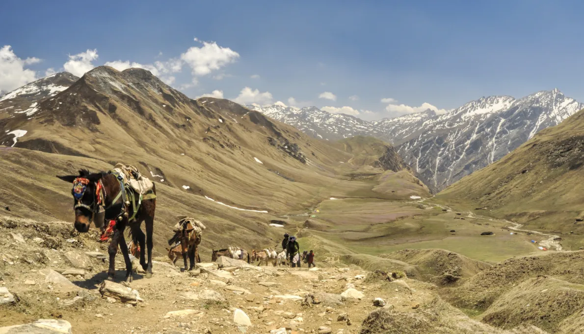 Food to Try in Nepal: A First-Timer’s Guide to the Flavors of the Himalayas