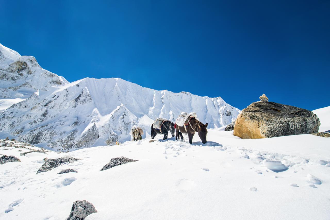 Manaslu Trek Cost 2027