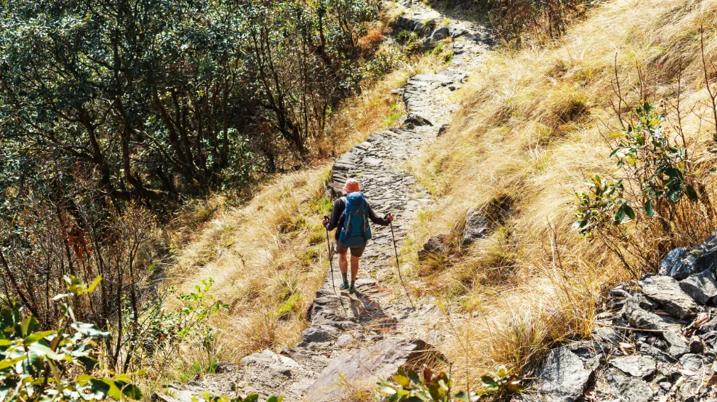 One Day Hiking in Nepal 2025/2026