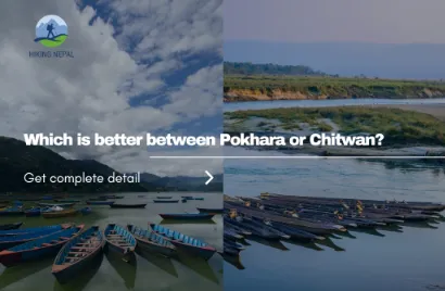 Which is better between Pokhara or Chitwan?