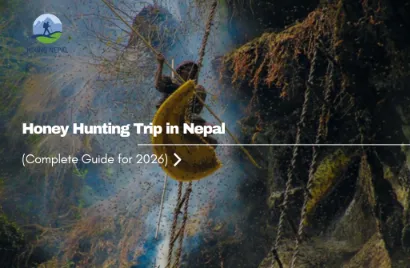 Honey Hunting Trip in Nepal (Complete Guide for 2026)