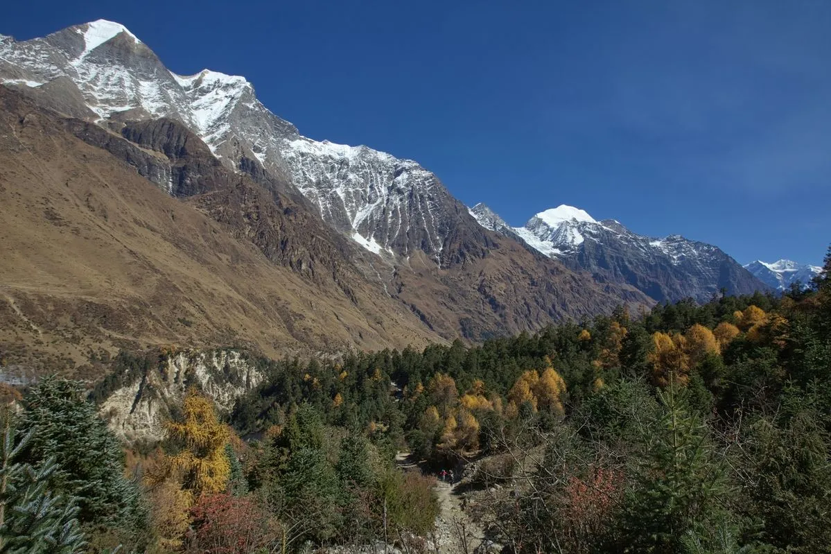 Manaslu Larke Pass Trek