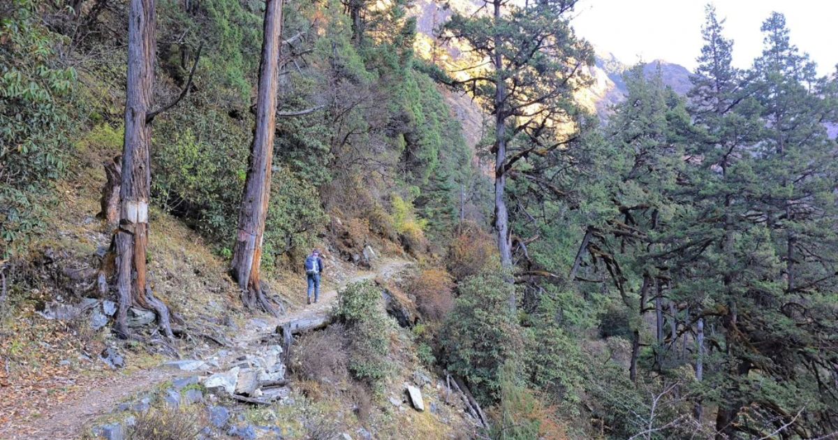 Is Nepal Safe to Travel After the 2026 Election?